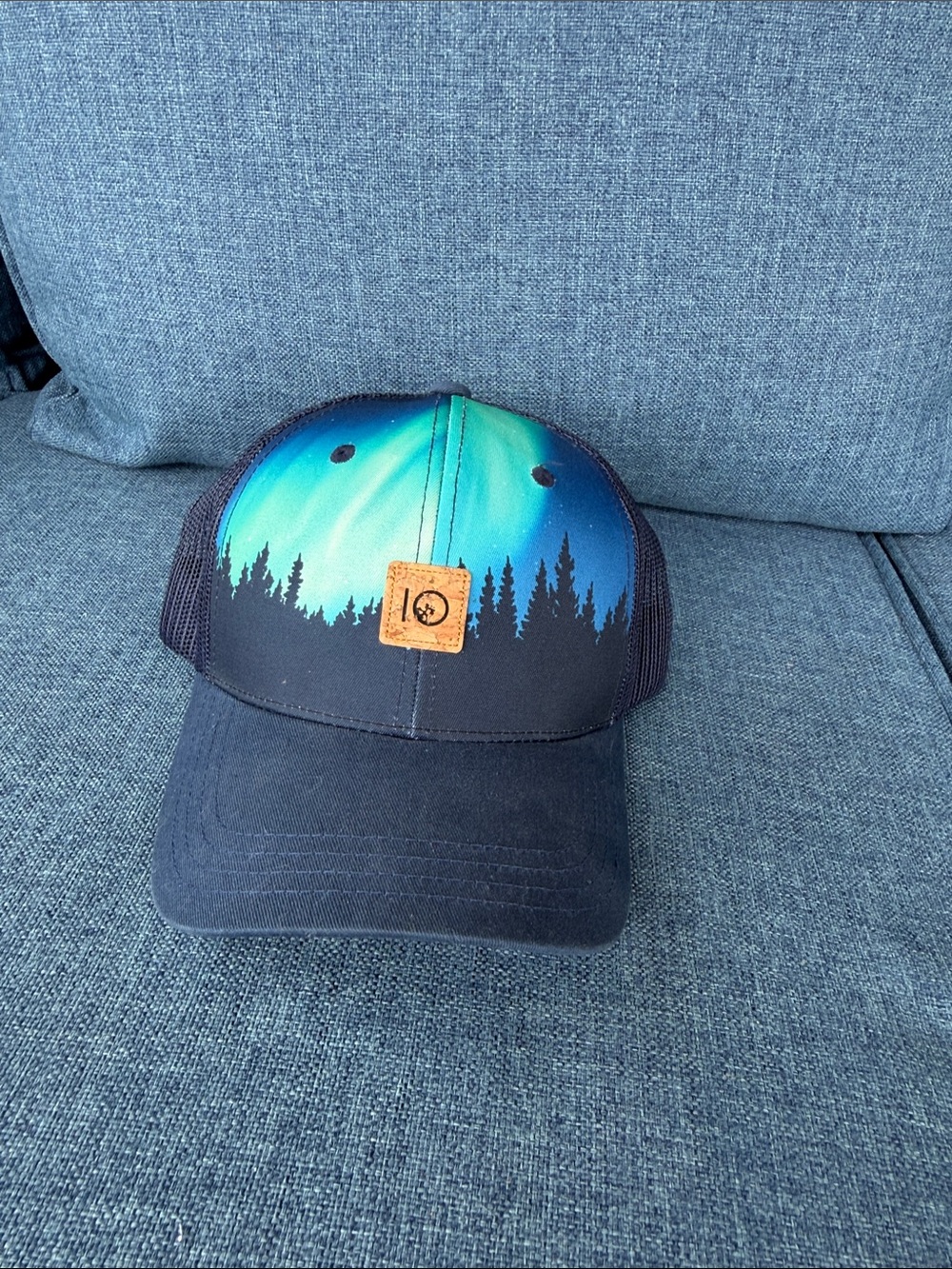 tentree Black and Teal Aurora Forest Trucker Hat